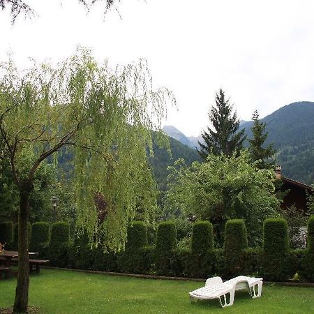 Hotel Belvedere Panchia Kültér fotó